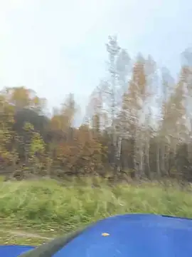 Snapshot of Oksiandfray chatting on October 10, 2025, 1:56 pm Oksiandfray online show from October 10, 2025, 1:56 pm