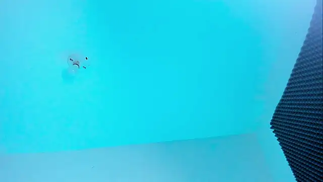 Im naho online show from October 22, 2025, 11:03 pm