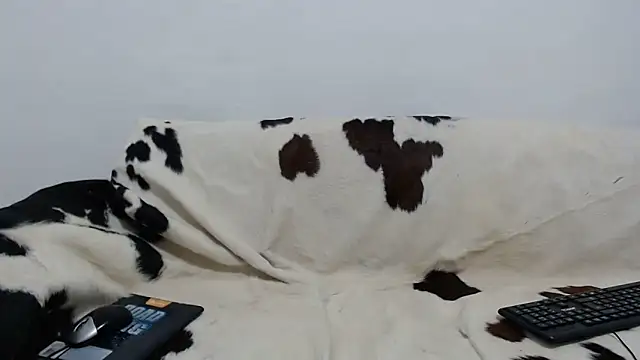 Dan jonson15 online show from November 26, 2025, 5:51 am