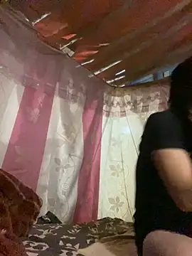 PhanHaa online show from November 5, 2025, 12:19 pm