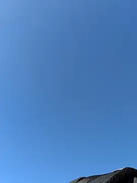 Ole Plus online show from February 12, 2026, 11:43 am