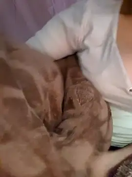 Nana-bar online show from November 24, 2025, 3:01 pm