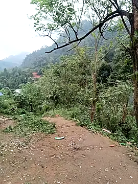 linda bae00 online show from March 6, 2026, 9:04 am