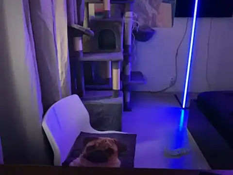 Snapshot of davesinner chatting on March 2, 2026, 7:15 am davesinner online show from March 2, 2026, 7:15 am