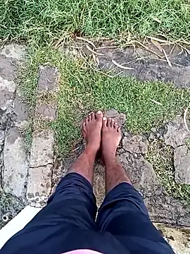 dolphiinn online show from December 23, 2025, 1:05 am