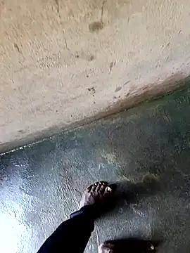 dolphiinn online show from December 3, 2025, 1:39 am