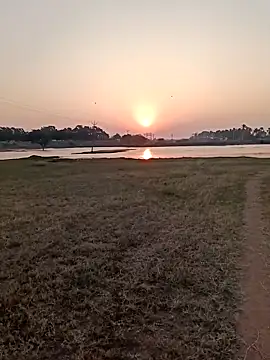 dolphiinn online show from February 12, 2026, 1:27 am