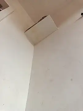 Dikchahot online show from November 11, 2025, 10:21 am