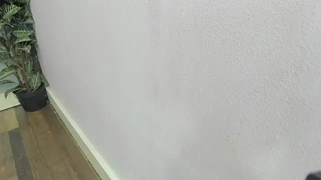 scarlett646 online show from February 22, 2026, 3:09 am