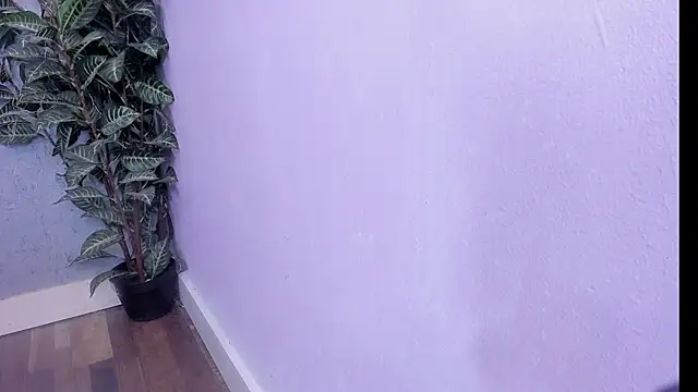 scarlett646 online show from February 23, 2026, 3:08 am