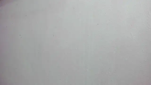 scarlett646 online show from November 14, 2025, 3:10 am