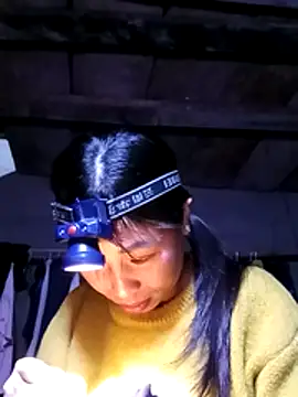 misa 00 online show from February 8, 2026, 3:04 am