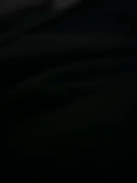 TerryM F online show from November 25, 2025, 6:36 am