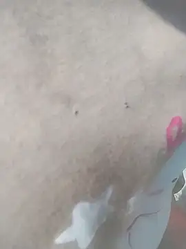 venu00 online show from April 8, 2026, 2:13 am