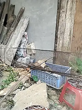 venu00 online show from April 9, 2026, 6:30 am