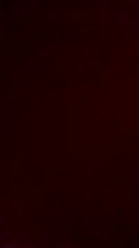 Snapshot of NewJoiner chatting on October 10, 2025, 5:47 pm NewJoiner online show from October 10, 2025, 5:47 pm