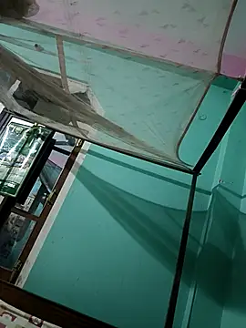 Roney67 online show from March 12, 2026, 7:29 pm