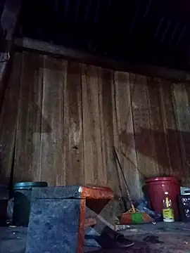 Ngocmi909 online show from February 25, 2026, 11:43 am