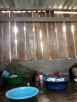 Ngocmi909 online show from April 14, 2026, 12:15 am