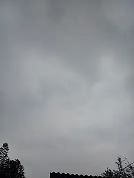 Ngocmi909 online show from January 11, 2026, 12:50 am