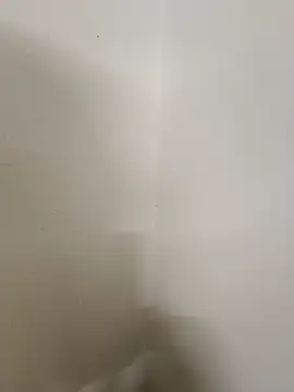 Snapshot of JackandJill124 chatting on October 11, 2025, 11:44 am JackandJill124 online show from October 11, 2025, 11:44 am