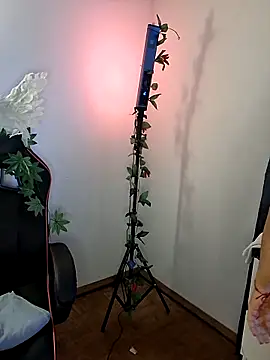 Tigresa23 online show from June 19, 2026, 5:08 pm