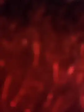 julieta evanns1 online show from September 25, 2025, 11:27 am