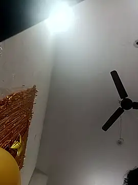 Appypie online show from January 14, 2026, 11:52 pm