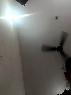 Appypie online show from October 11, 2025, 6:36 am