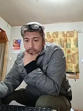 Gato2025perro online show from April 21, 2026, 8:10 am