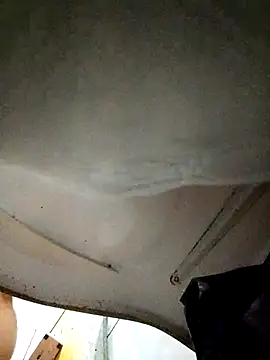 Snapshot of branquinho3 chatting on March 30, 2026, 1:07 am branquinho3 online show from March 30, 2026, 1:07 am