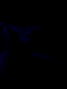 Snapshot of Norbi30 chatting on October 21, 2025, 9:03 pm Norbi30 online show from October 21, 2025, 9:03 pm