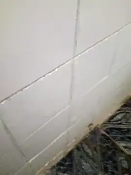 Snapshot of kelvinjesus34 chatting on October 19, 2025, 6:38 am kelvinjesus34 online show from October 19, 2025, 6:38 am