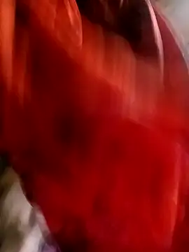 Snapshot of gulapi-gulistan180 chatting on October 30, 2025, 2:54 am gulapi-gulistan180 online show from October 30, 2025, 2:54 am