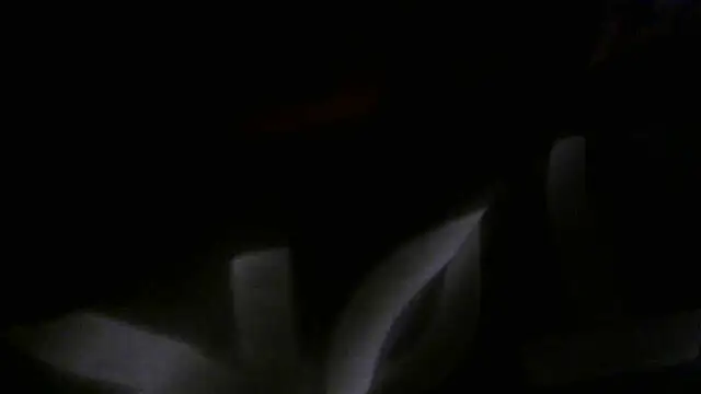 crassanova online show from April 22, 2026, 12:34 pm