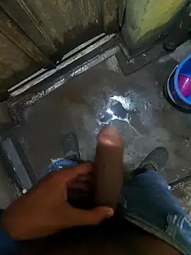 biswasb900 online show from November 23, 2025, 11:53 am