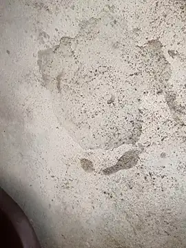 Schii69 online show from December 18, 2025, 11:41 pm