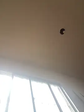 Katianesantos online show from March 1, 2026, 1:55 pm