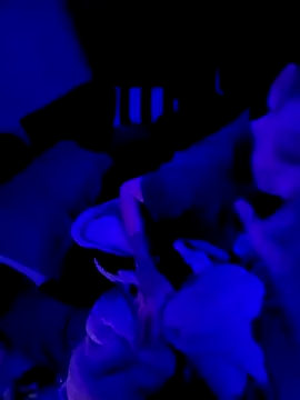 Ghost Face803 online show from March 3, 2026, 6:42 am