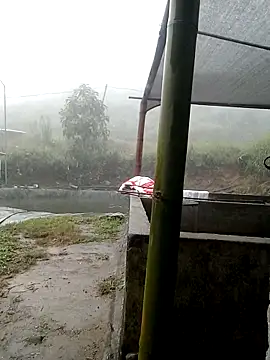 ngan-cute online show from November 2, 2025, 4:17 am