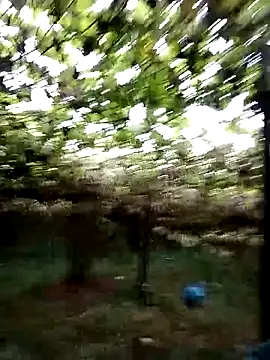 ngan-cute online show from October 22, 2025, 11:25 pm