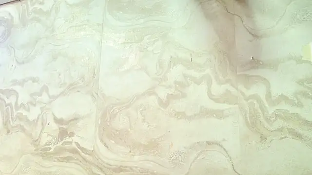 amy greene online show from March 31, 2026, 11:34 am