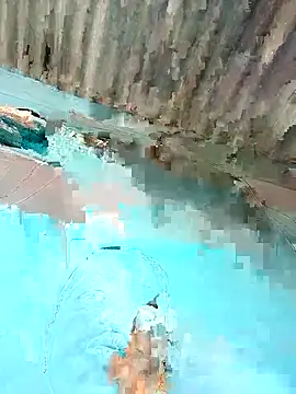 Hot-honi online show from December 22, 2025, 8:47 am