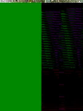 Hot-honi online show from November 17, 2025, 10:19 am