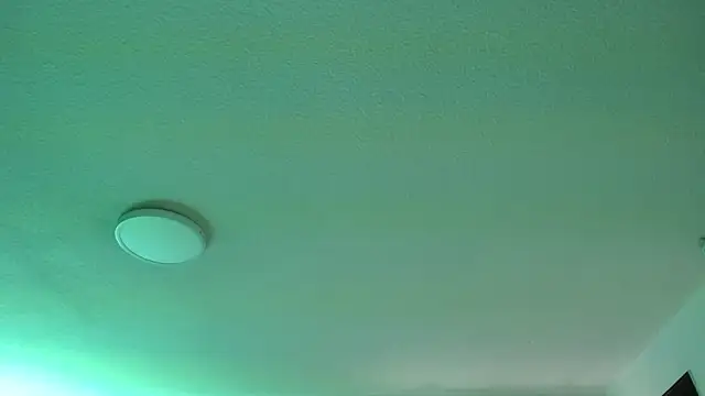  Charlotte Collins  online show from March 31, 2026, 2:41 pm