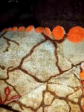 sexy  girls98 online show from February 12, 2026, 5:40 am