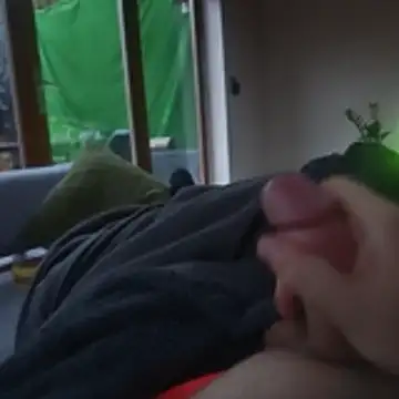 stunning stallion online show from October 27, 2025, 4:30 pm