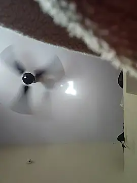 Silk Smitha 27 online show from November 2, 2025, 5:34 am