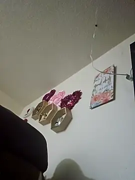 modest-mouse online show from January 8, 2026, 1:50 pm