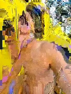 BindaasBong online show from February 28, 2026, 7:30 am